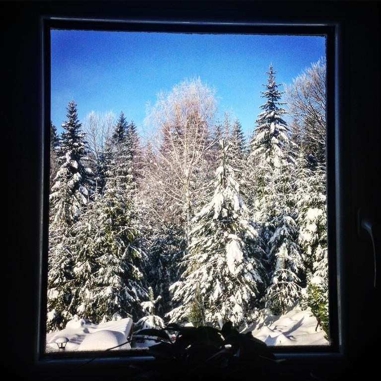 Kwatera Pod Lasem Istebna Exteriér fotografie
