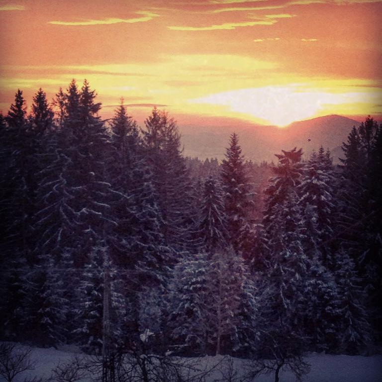 Kwatera Pod Lasem Istebna Exteriér fotografie