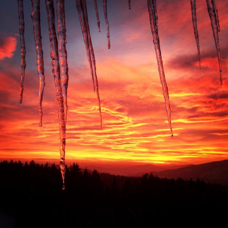 Kwatera Pod Lasem Istebna Exteriér fotografie